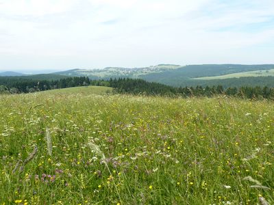 Wiesenlandschaft im Naturpark Thüringer Wald