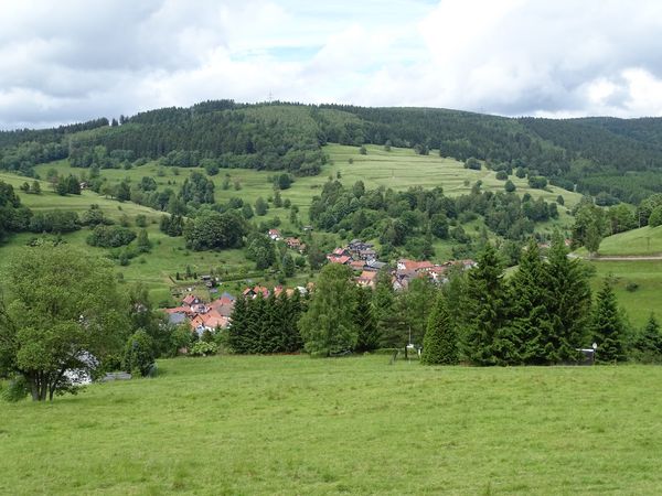 Regionaltypische Agrarlandschaft im Naturpark Thüringer Wald